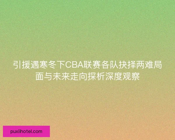 引援遇寒冬下CBA联赛各队抉择两难局面与未来走向探析深度观察