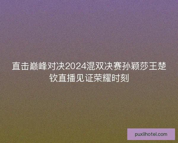 直击巅峰对决2024混双决赛孙颖莎王楚钦直播见证荣耀时刻
