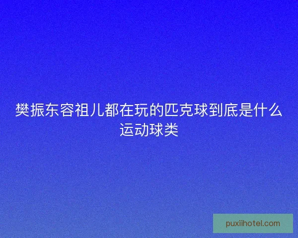 樊振东容祖儿都在玩的匹克球到底是什么运动球类