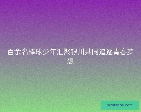 百余名棒球少年汇聚银川共同追逐青春梦想