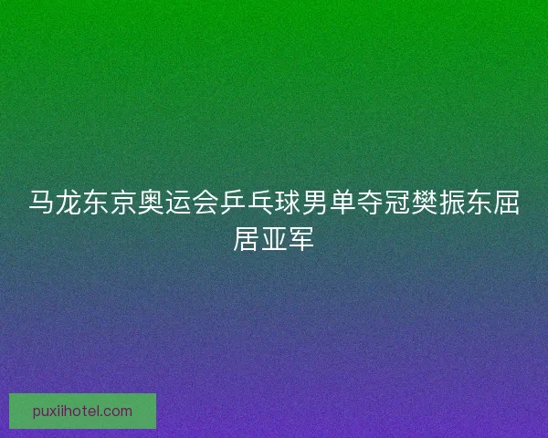 马龙东京奥运会乒乓球男单夺冠樊振东屈居亚军