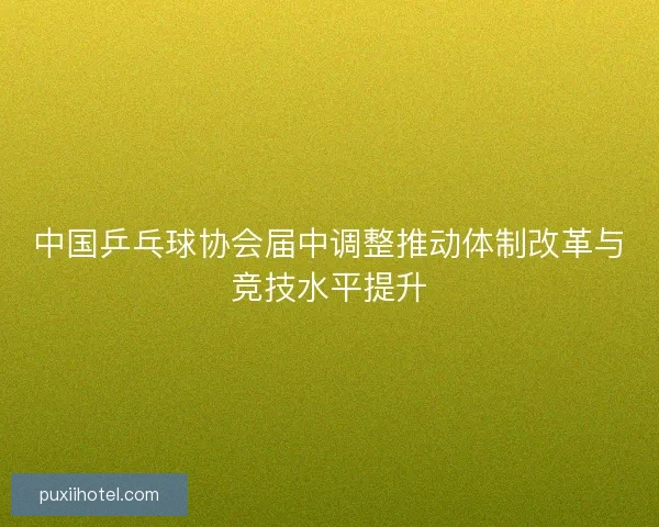 中国乒乓球协会届中调整推动体制改革与竞技水平提升